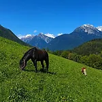 Eiter * Arzl im Pitztal
