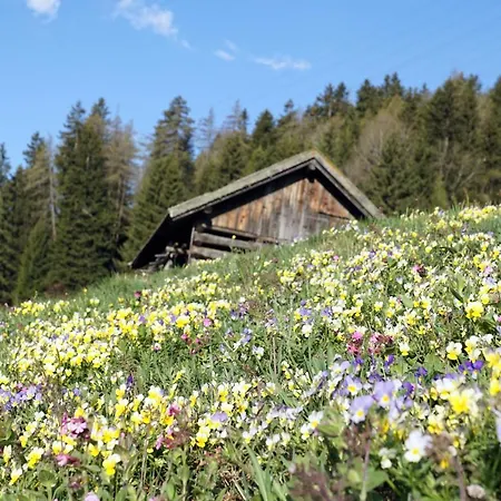 Eiter Arzl im Pitztal