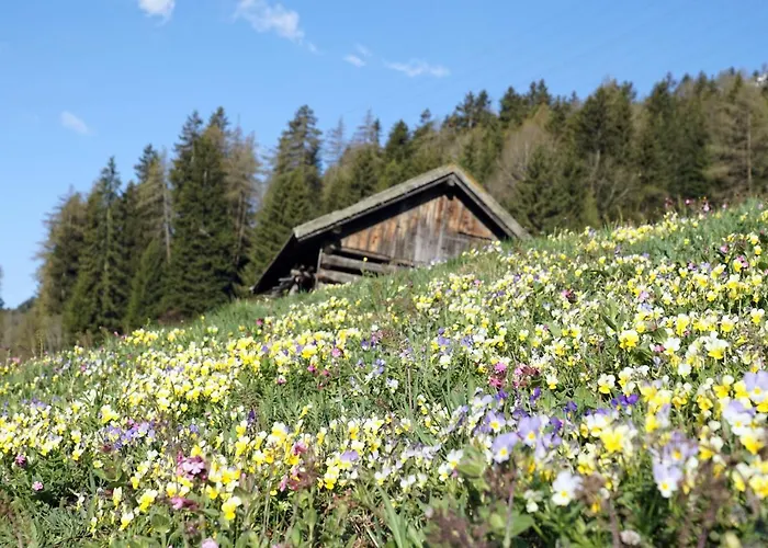 Eiter 阿泽皮茨陶